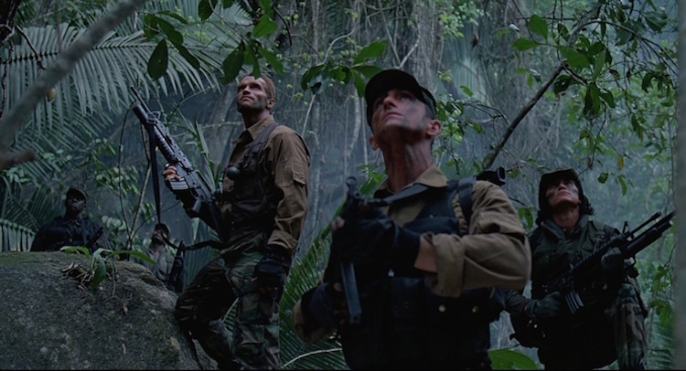 Predator