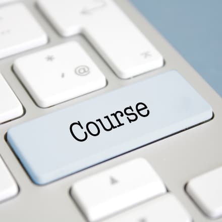 Online blogger: Course
