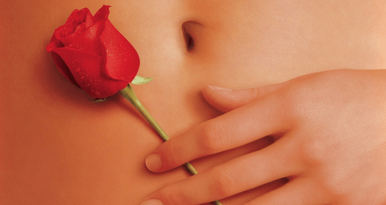 american beauty narrative momentum